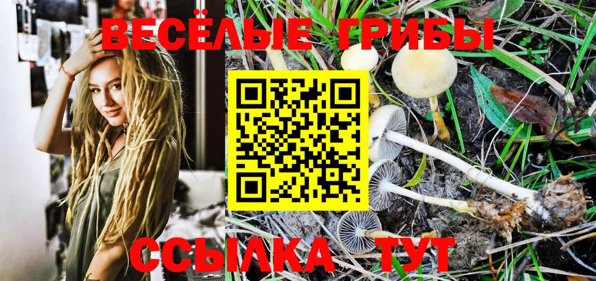 Псилоцибиновые грибы GOLDEN TEACHER  Вход с VPN  Санкт-Петербург 